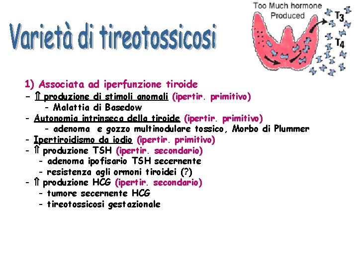 1) Associata ad iperfunzione tiroide - produzione di stimoli anomali (ipertir. primitivo) - -