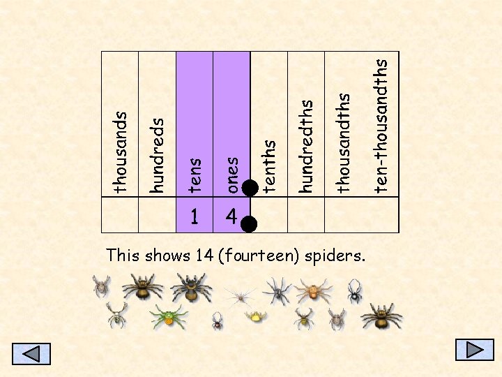 This shows 14 (fourteen) spiders. 