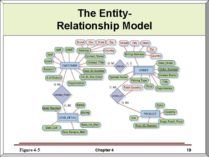 The Entity. Relationship Model Figure 4 -5 Chapter 4 19 The Entity. Relationship Model Figure 4 -5 Chapter 4 19