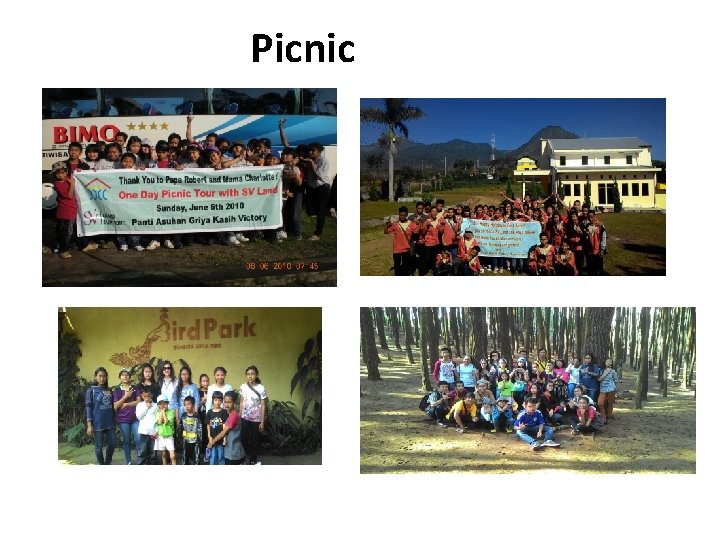 Picnic 