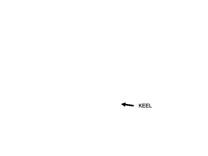 KEEL 