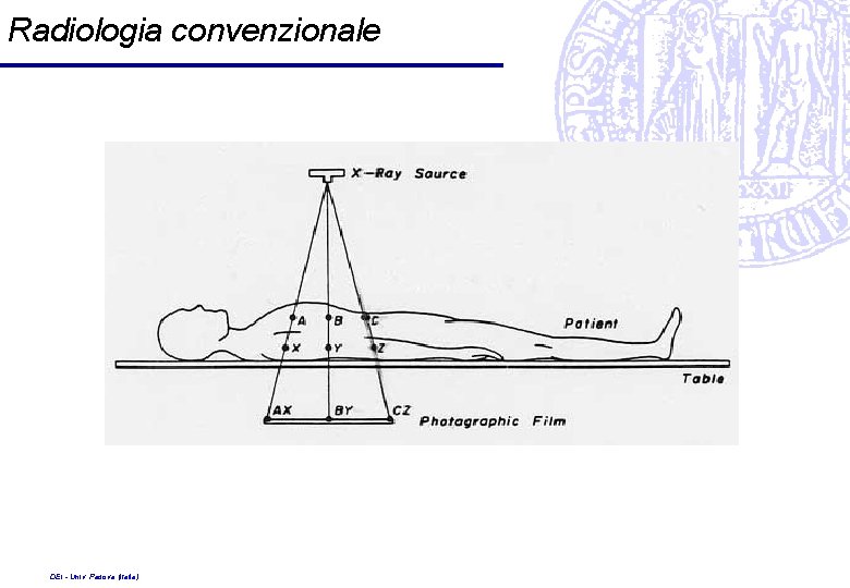 Radiologia convenzionale DEI - Univ. Padova (Italia) 