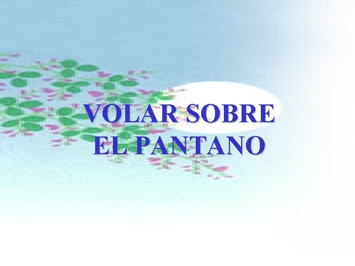 FBULA Con Sonido VOLAR SOBRE EL PANTANO Si