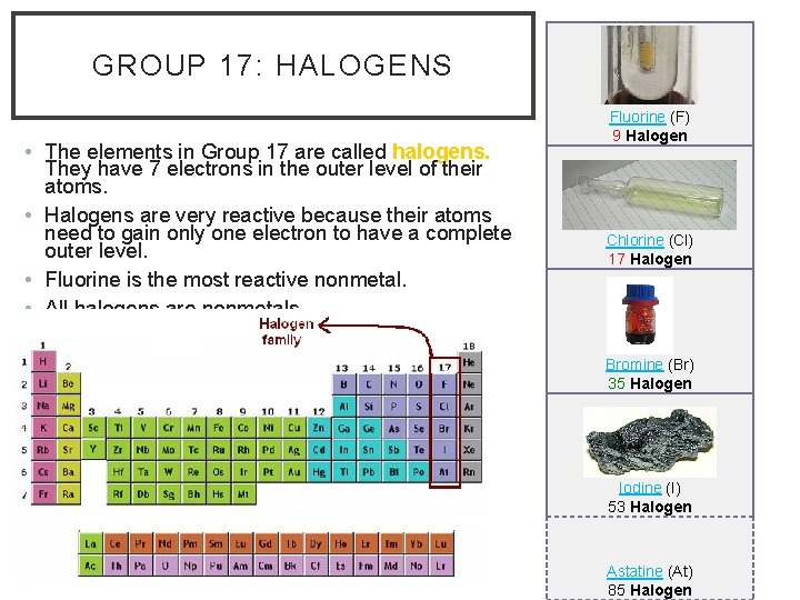 GROUP 17: HALOGENS • The elements in Group 17 are called halogens. They have