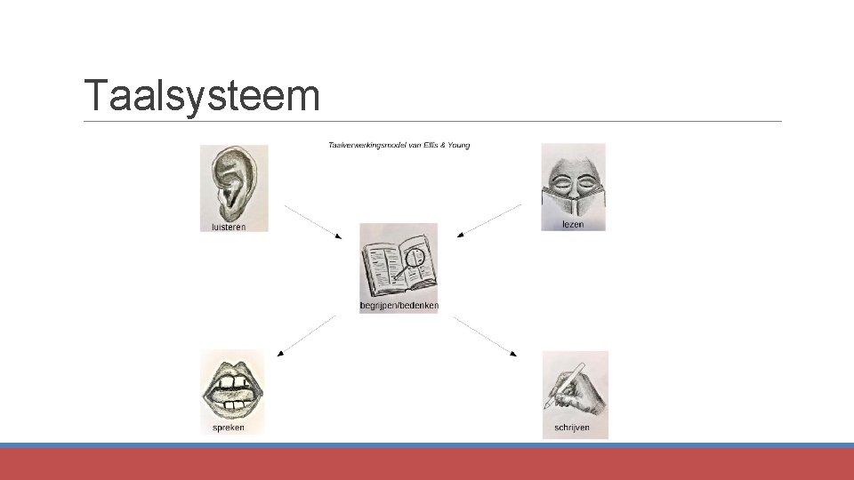 Taalsysteem 