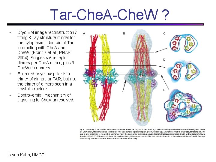 Tar-Che. A-Che. W ? • • • Cryo-EM image reconstruction / fitting X-ray structure