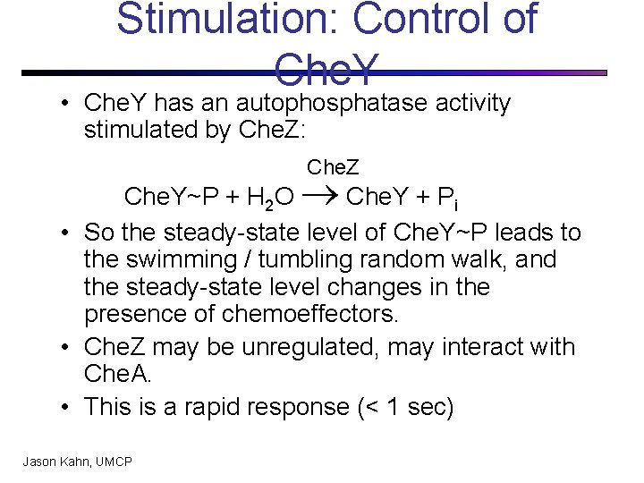 Stimulation: Control of Che. Y • Che. Y has an autophosphatase activity stimulated by