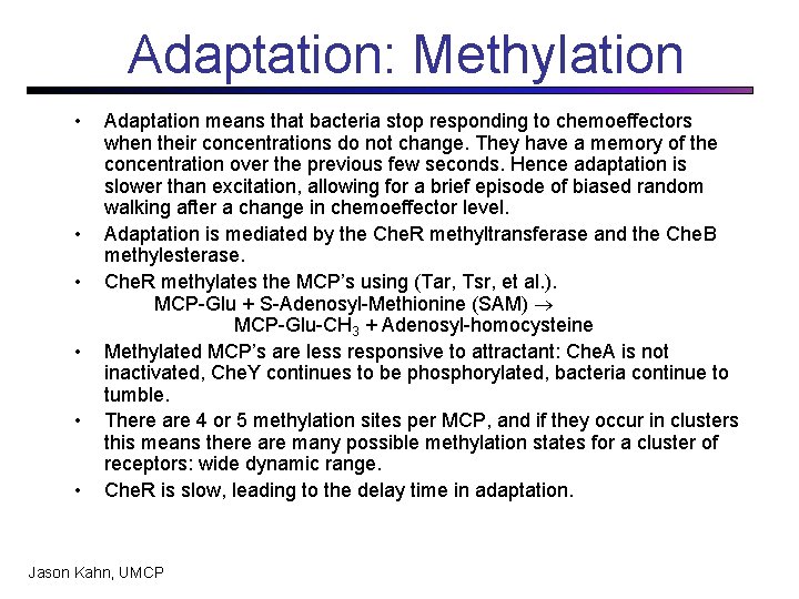 Adaptation: Methylation • • • Adaptation means that bacteria stop responding to chemoeffectors when