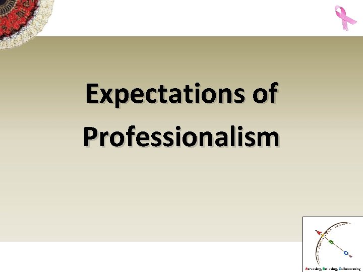 Expectations of Professionalism 