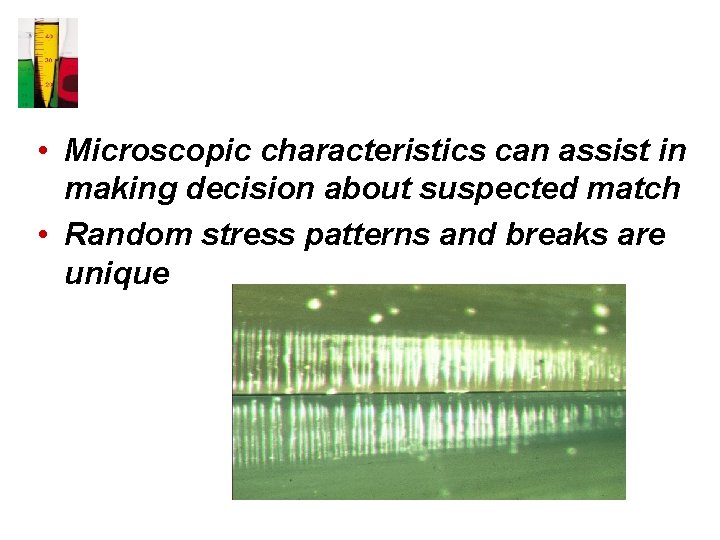  • Microscopic characteristics can assist in making decision about suspected match • Random