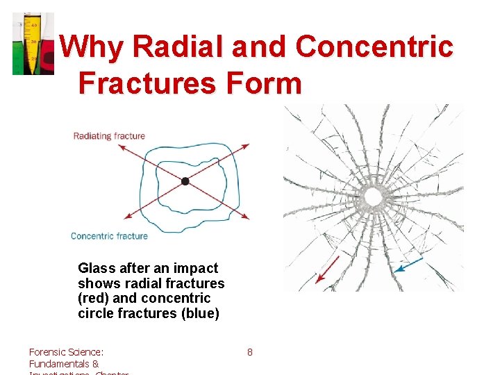 Why Radial and Concentric Fractures Form Glass after an impact shows radial fractures (red)