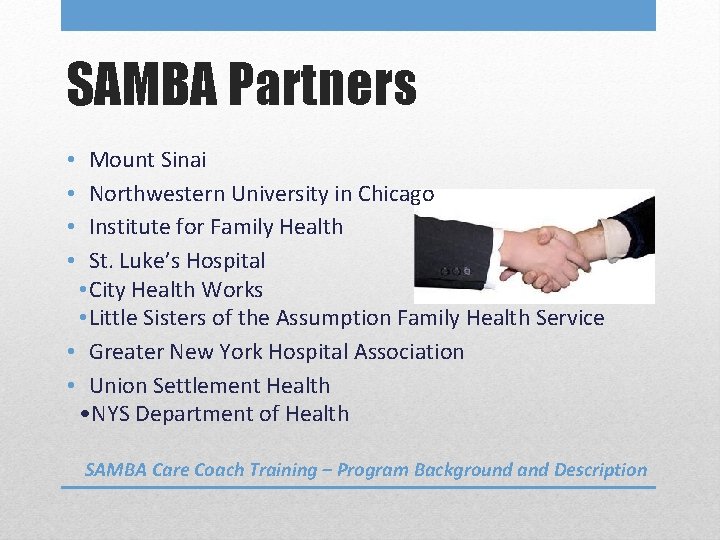 SAMBA Partners Mount Sinai Northwestern University in Chicago Institute for Family Health St. Luke’s