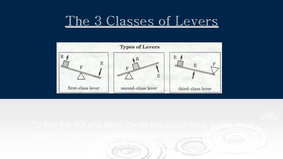 The 3 Classes of Levers To find the MA of a lever, divide the