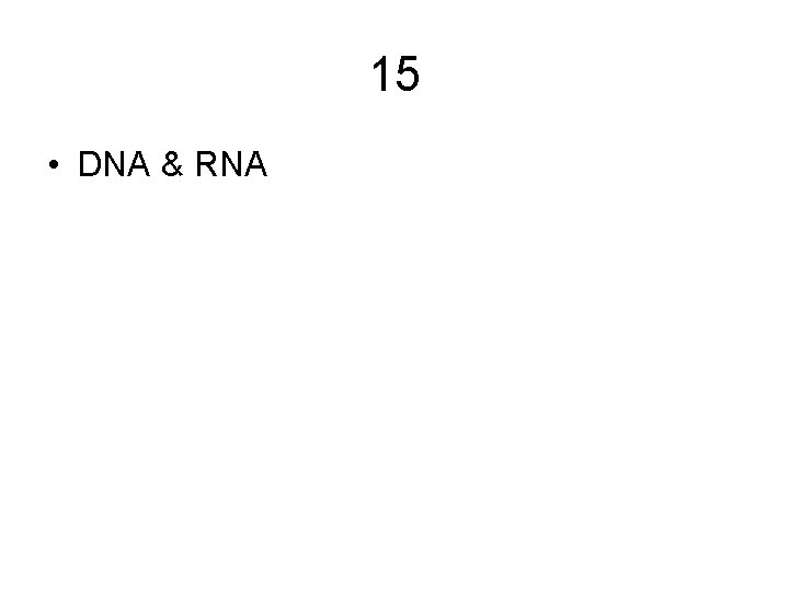 15 • DNA & RNA 15 • DNA & RNA
