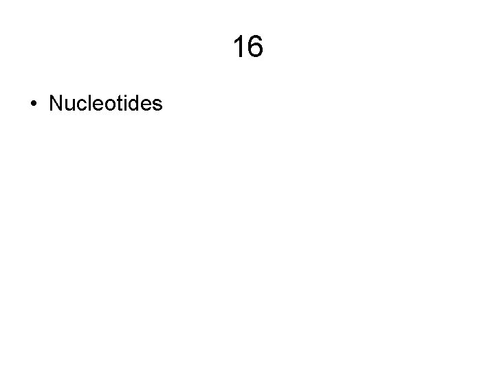 16 • Nucleotides 16 • Nucleotides