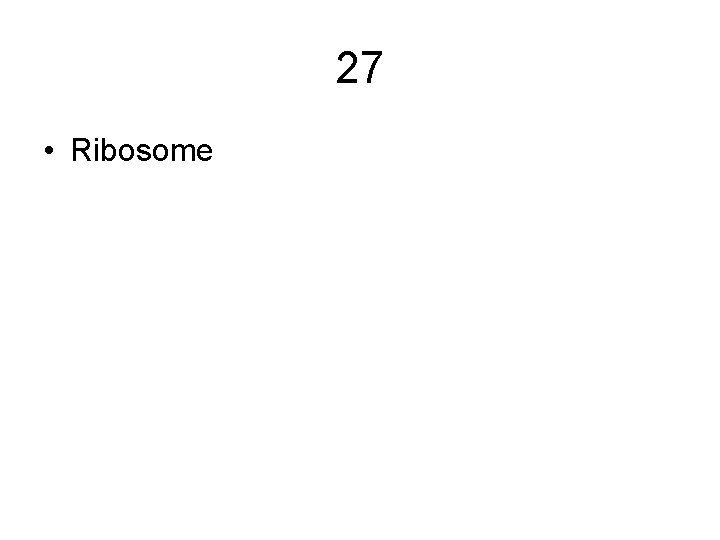 27 • Ribosome 27 • Ribosome