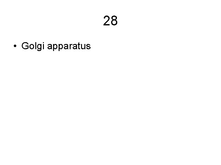 28 • Golgi apparatus 28 • Golgi apparatus