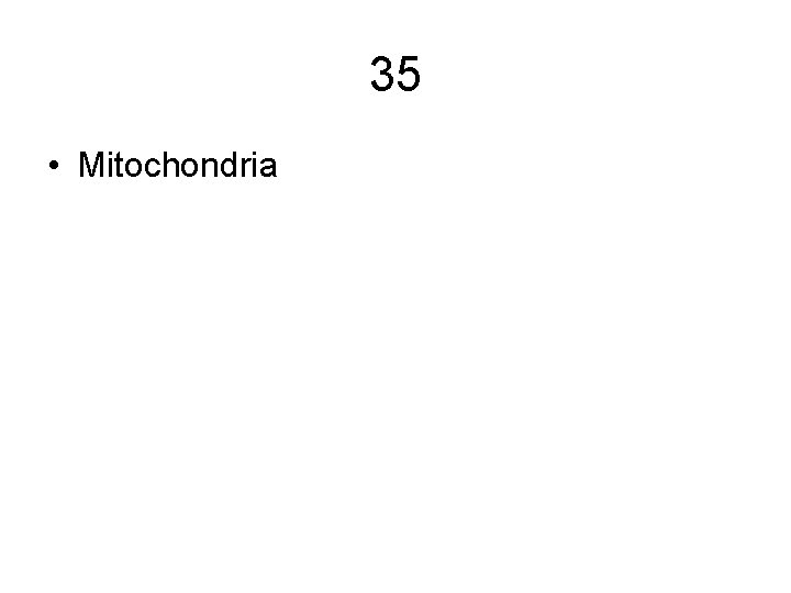 35 • Mitochondria 35 • Mitochondria