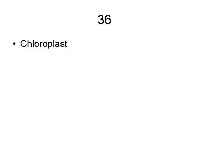 36 • Chloroplast 36 • Chloroplast