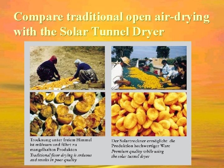 Compare traditional open air-drying with the Solar Tunnel Dryer 