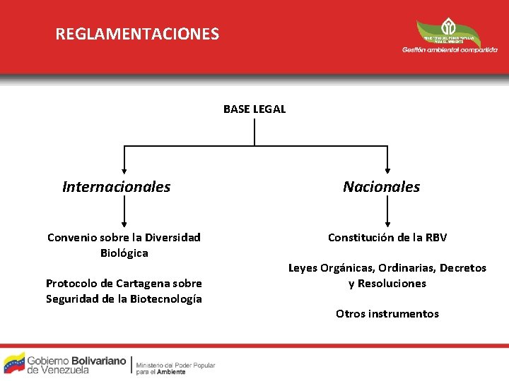 REGLAMENTACIONES BASE LEGAL Internacionales Convenio sobre la Diversidad Biológica Protocolo de Cartagena sobre Seguridad