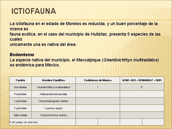 ICTIOFAUNA La ictiofauna en el estado de Morelos es reducida, y un buen porcentaje