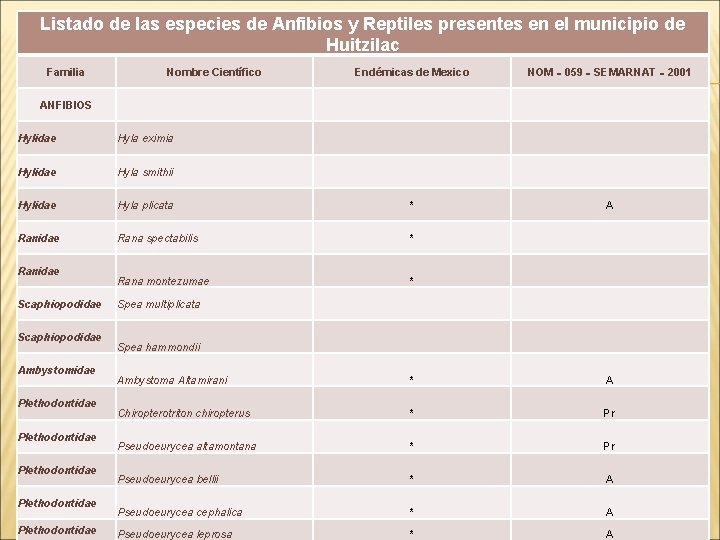 Listado de las especies de Anfibios y Reptiles presentes en el municipio de Huitzilac