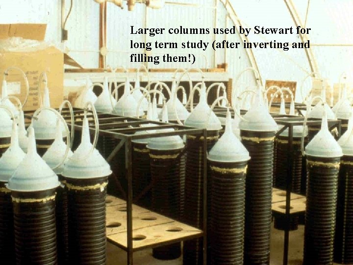 Larger columns used by Stewart for long term study (after inverting and filling them!)