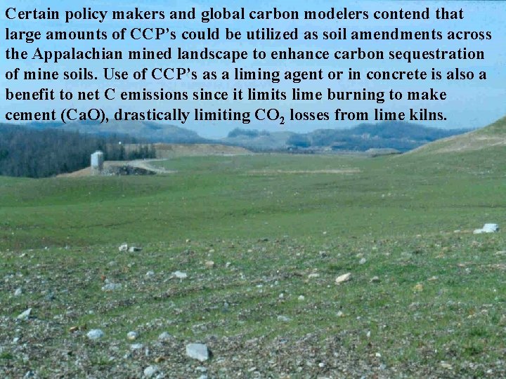 Certain policy makers and global carbon modelers contend that large amounts of CCP’s could