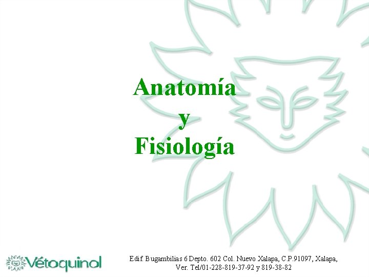 Anatomía y Fisiología Edif. Bugambilias 6 Depto. 602 Col. Nuevo Xalapa, C. P. 91097,