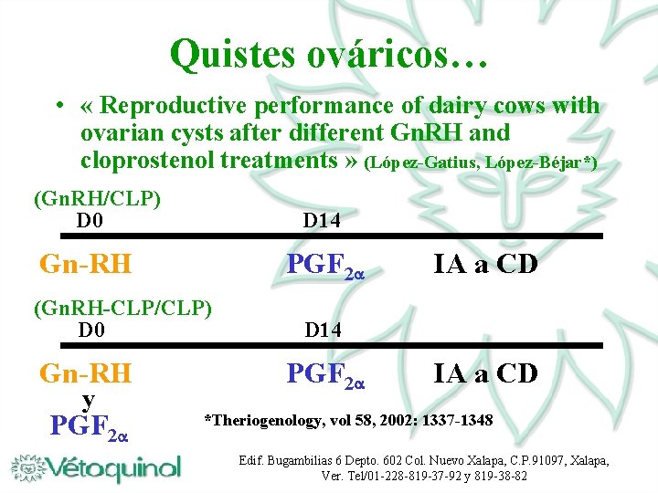 Quistes ováricos… • « Reproductive performance of dairy cows with ovarian cysts after different