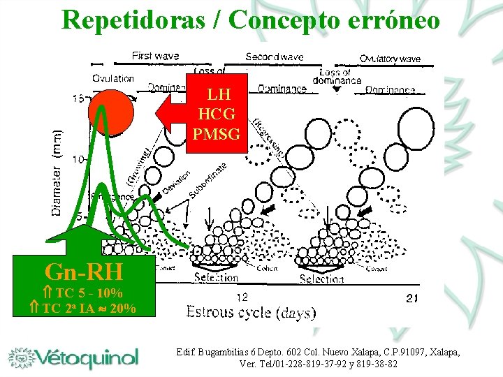 Repetidoras / Concepto erróneo LH HCG PMSG Gn-RH TC 5 - 10% TC 2