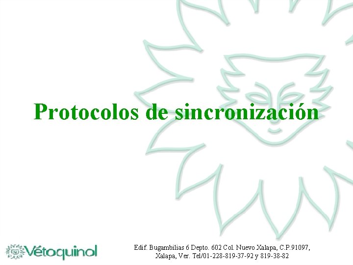 Protocolos de sincronización Edif. Bugambilias 6 Depto. 602 Col. Nuevo Xalapa, C. P. 91097,