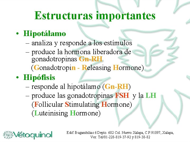 Estructuras importantes • Hipotálamo – analiza y responde a los estímulos – produce la