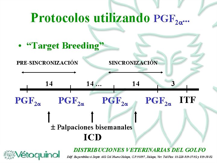 Protocolos utilizando PGF 2. . . • “Target Breeding” PRE-SINCRONIZACIÓN 14 PGF 2 14