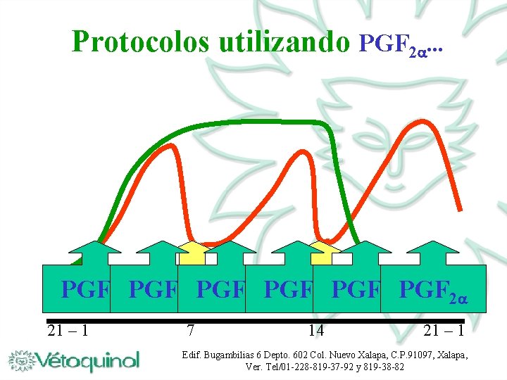 Protocolos utilizando PGF 2. . . PGF 2 PGF 2 2 PGF 2 21