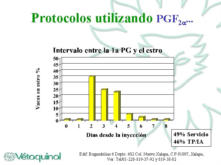 Protocolos utilizando PGF 2. . . 49% Servicio 46% TP/IA Edif. Bugambilias 6 Depto.