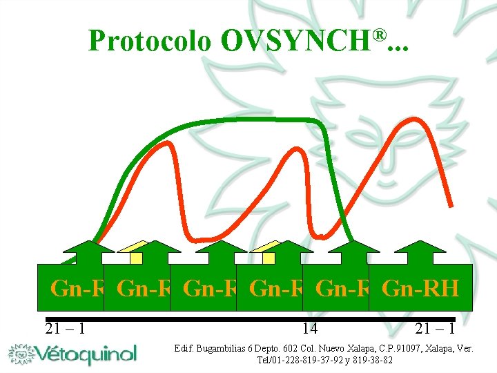 Protocolo ® OVSYNCH. . . Gn-RH Gn-RHGn-RH 21 – 1 14 21 – 1