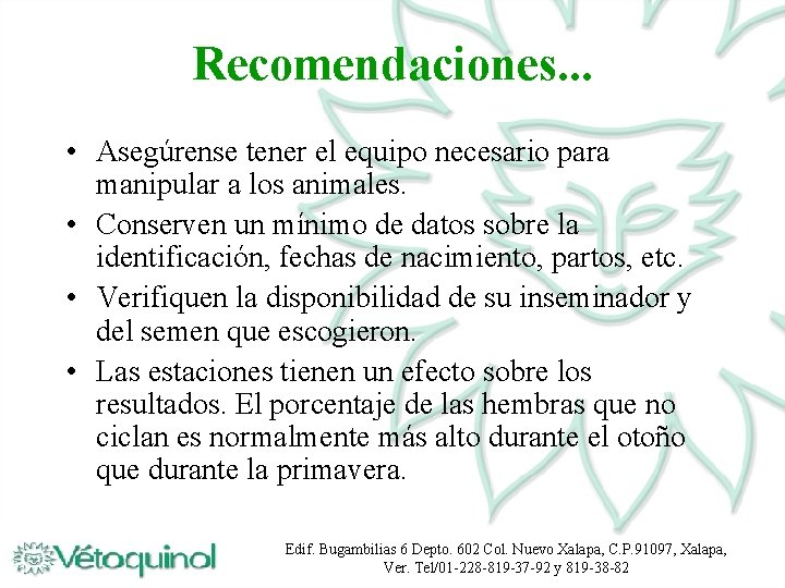 Recomendaciones. . . • Asegúrense tener el equipo necesario para manipular a los animales.