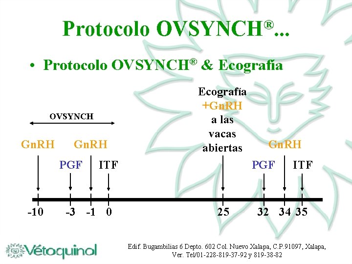 Protocolo ® OVSYNCH. . . • Protocolo OVSYNCH® & Ecografía OVSYNCH Gn. RH PGF