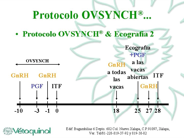 Protocolo ® OVSYNCH. . . • Protocolo OVSYNCH® & Ecografía 2 OVSYNCH Gn. RH