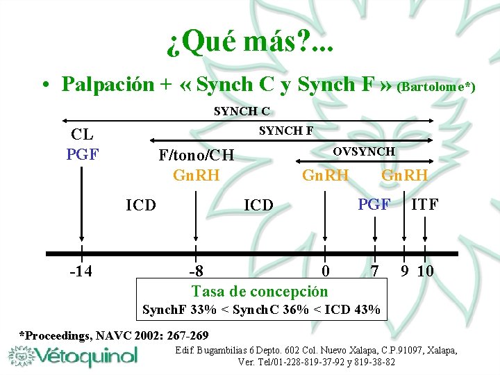 ¿Qué más? . . . • Palpación + « Synch C y Synch F