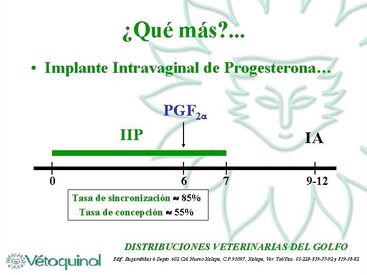 ¿Qué más? . . . • Implante Intravaginal de Progesterona… PGF 2 IIP 0