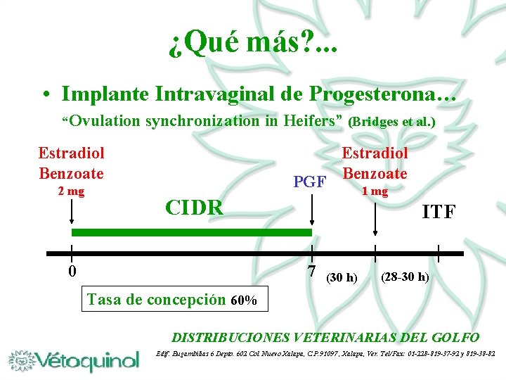 ¿Qué más? . . . • Implante Intravaginal de Progesterona… “Ovulation synchronization in Heifers”