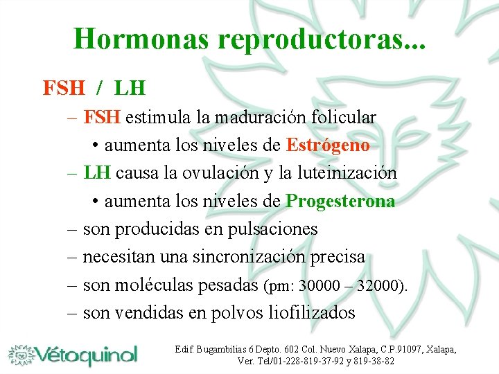 Hormonas reproductoras. . . FSH / LH – FSH estimula la maduración folicular •