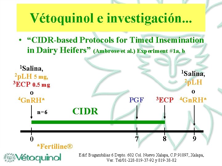 Vétoquinol e investigación. . . • “CIDR-based Protocols for Timed Insemination in Dairy Heifers”