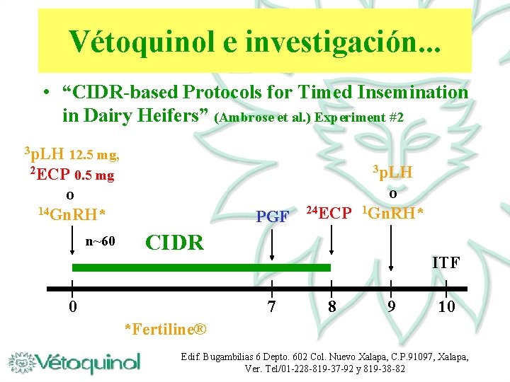 Vétoquinol e investigación. . . • “CIDR-based Protocols for Timed Insemination in Dairy Heifers”