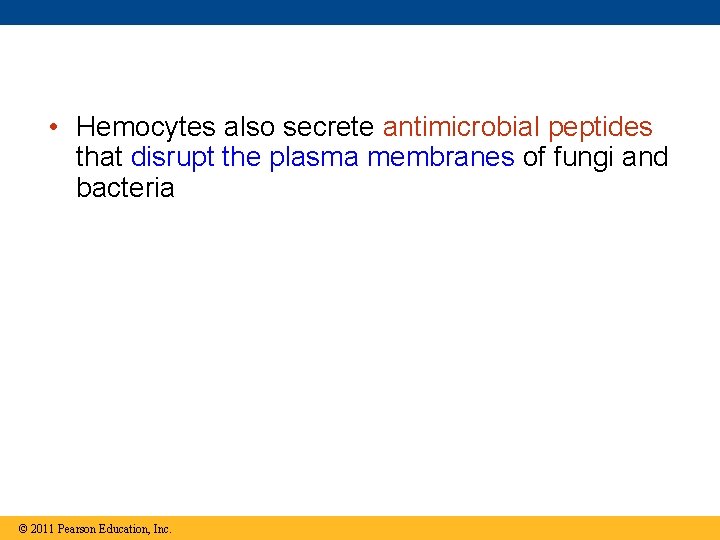  • Hemocytes also secrete antimicrobial peptides that disrupt the plasma membranes of fungi