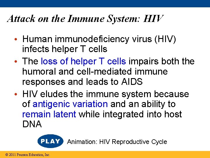 Attack on the Immune System: HIV • Human immunodeficiency virus (HIV) infects helper T