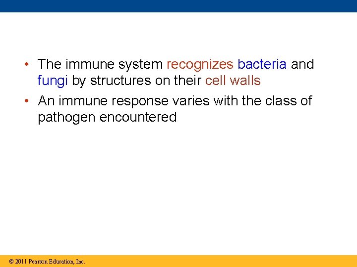  • The immune system recognizes bacteria and fungi by structures on their cell